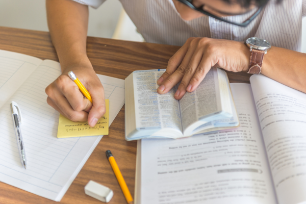 France Becoming a Popular Study Destination for Indian Students After 12th