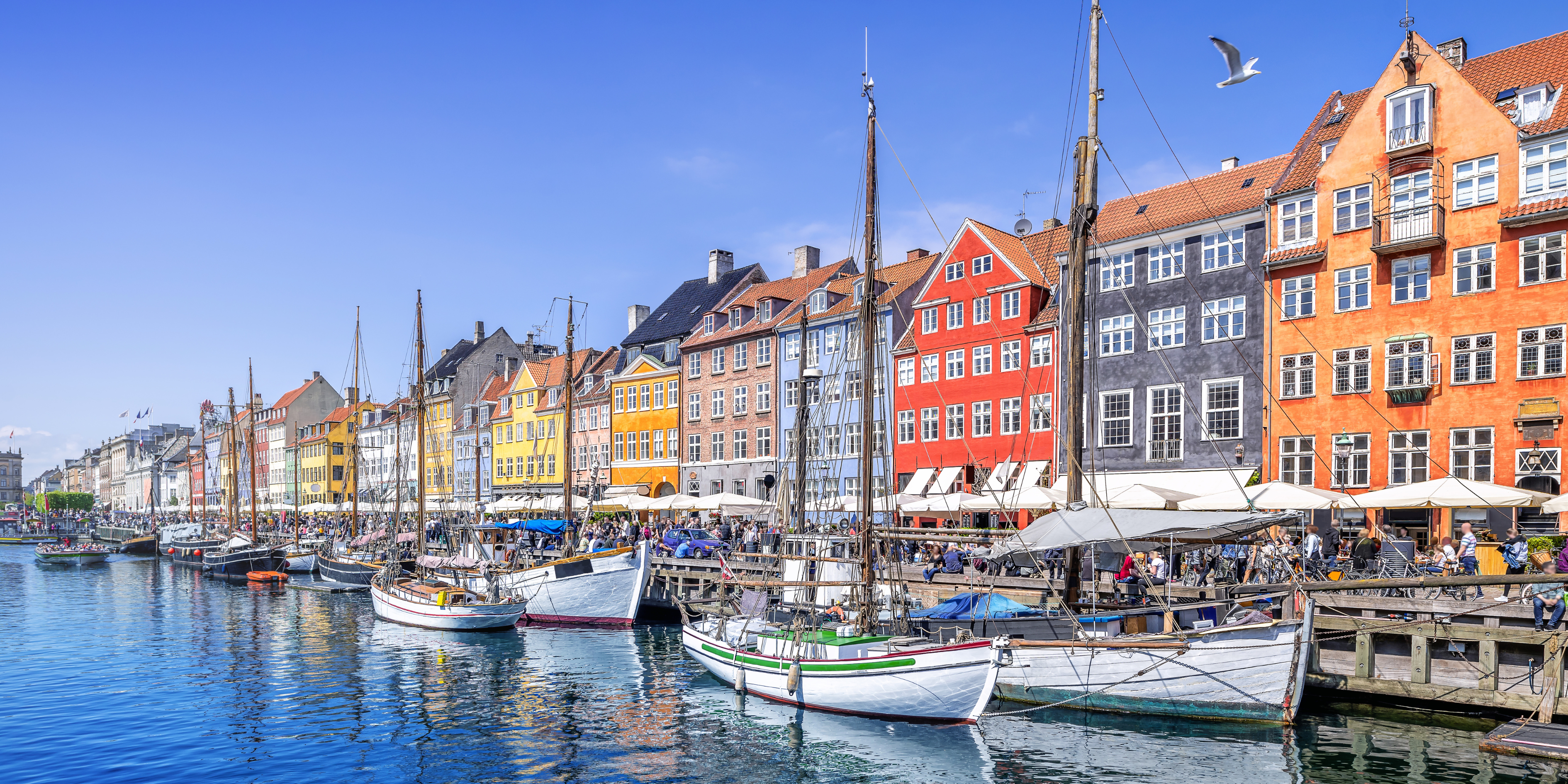 Study in Denmark