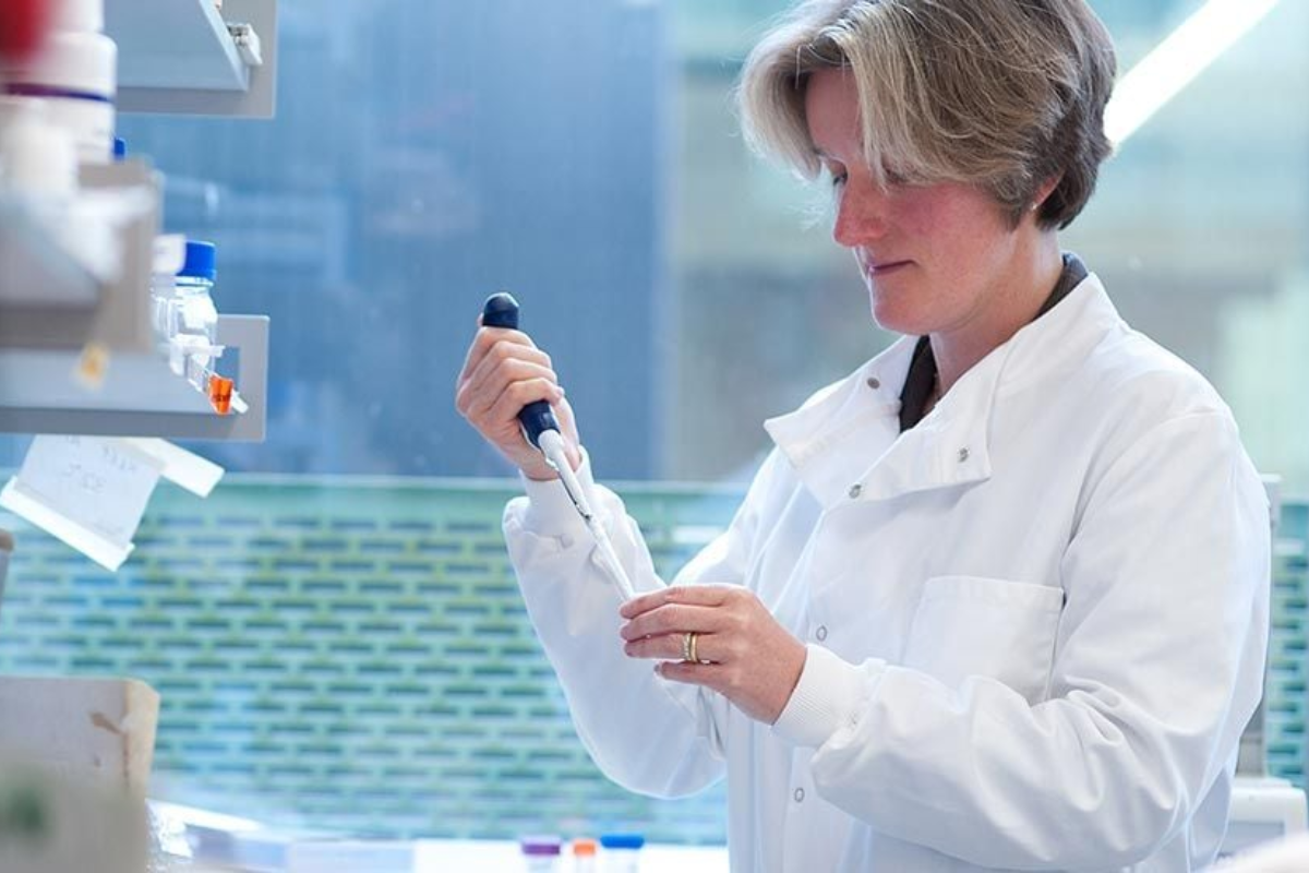 Cambridge Degree Courses