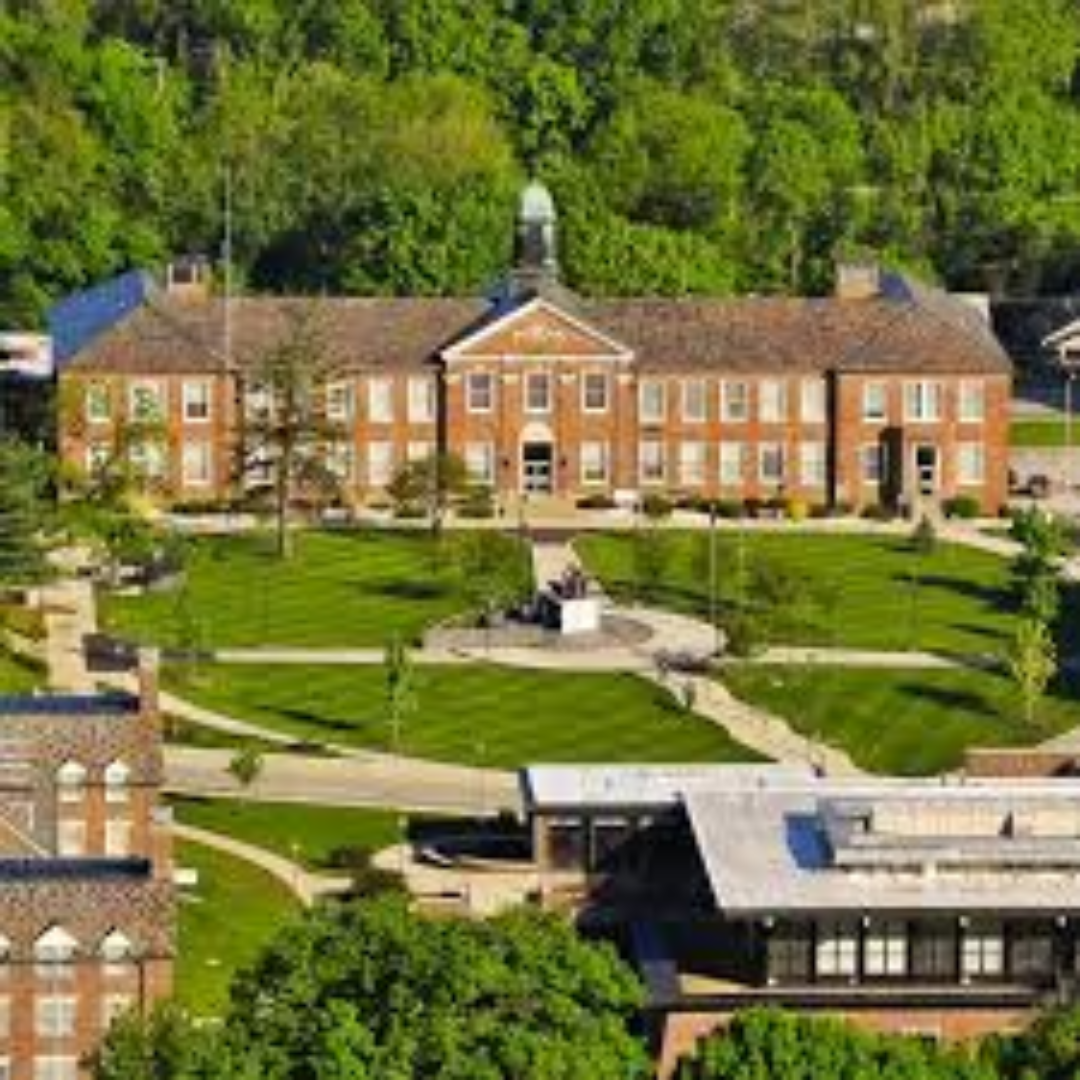 Best New Zealand Universities Offering Scholarships